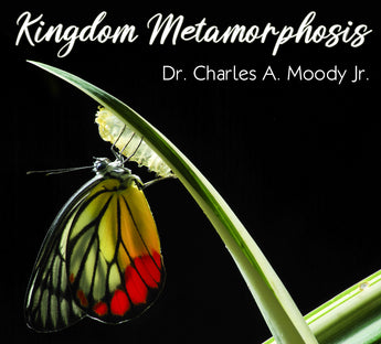Kingdom Metamorphosis