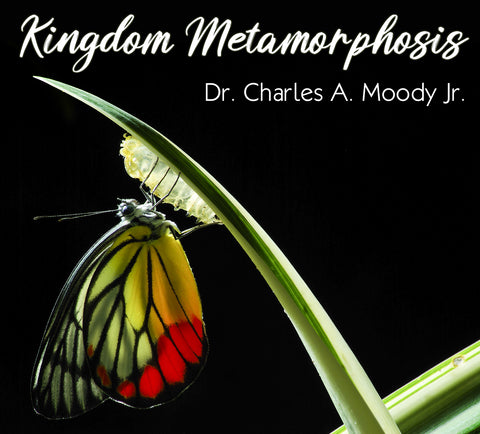 Kingdom Metamorphosis